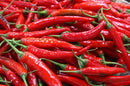 HOT CHILI PEPPERS